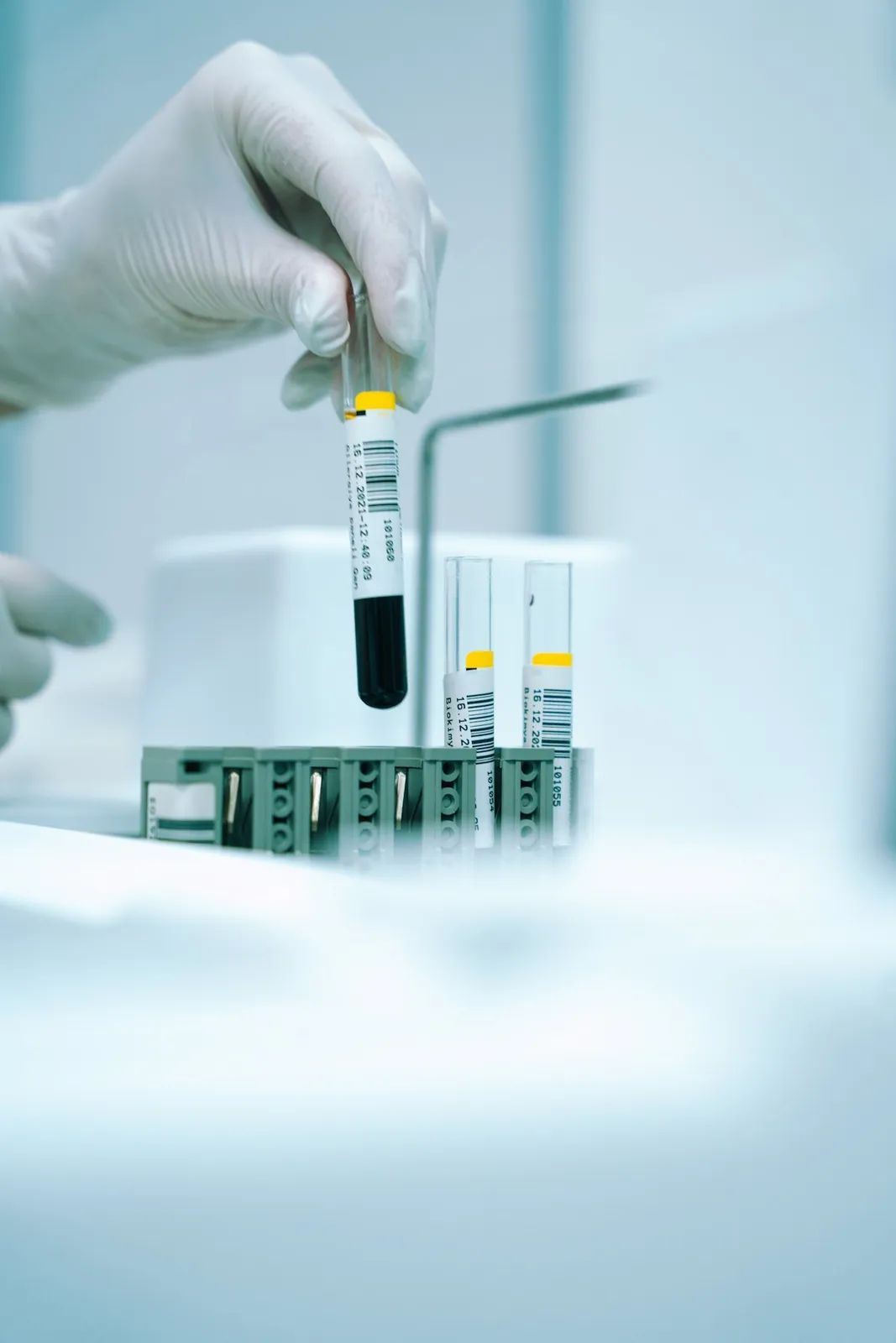 Gloved hand holding a test tube